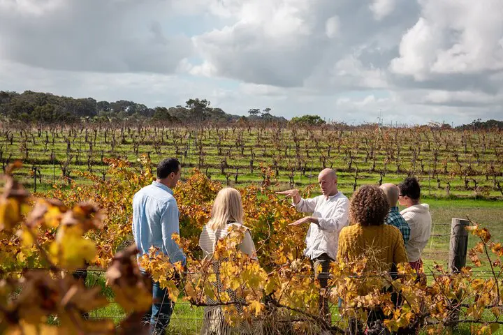 Margaret River Wine Tours