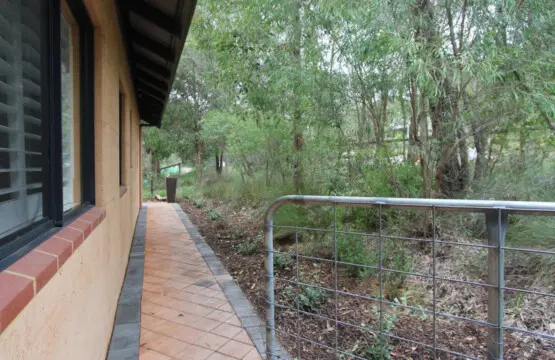 Patio and Garden