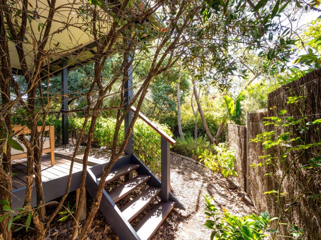 130832 332209 1GpdsirMlaO02MlkS3gKqQpO4cvnmYk0EV2pByUz9wQ 6768cbf13ced7.jpg