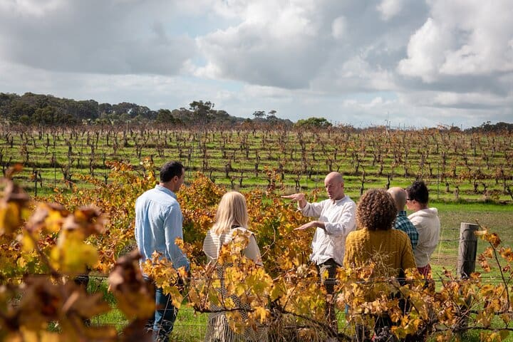 Margaret River Wine Tours