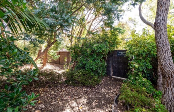 130832 332209 fKRQ9eSGBFVMZFQRioE91hOogUVek7qqUoggim1sR8s 6768cbfe48d17.jpg