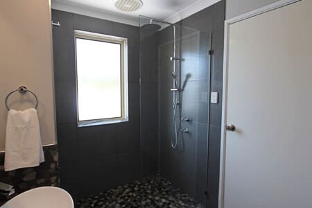 Toilet and shower