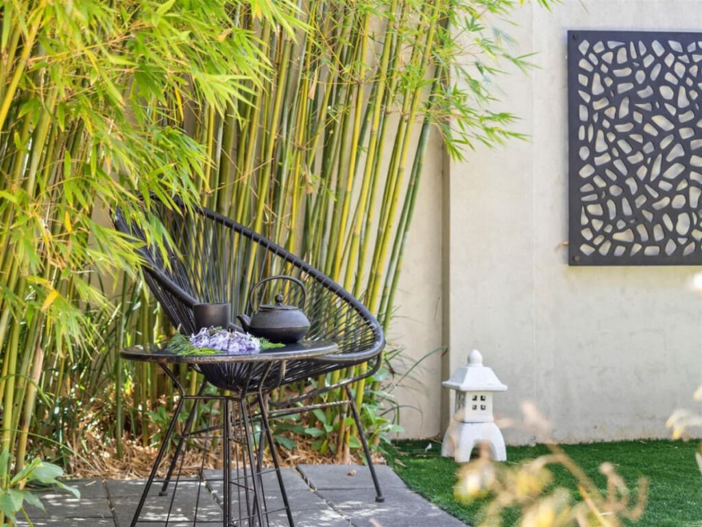 Garden and Seating area