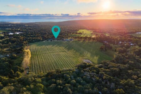 130832 332220 dRUsfPSupbqxNv5VXvH6nTRuVcM05 cF8FVOtgXkJyU 67402164f3474.jpg