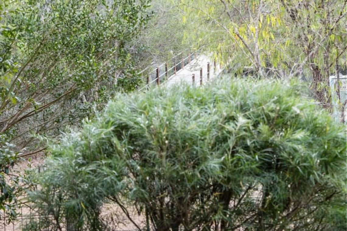 Balcony/Terrace, Garden and Steps to River
