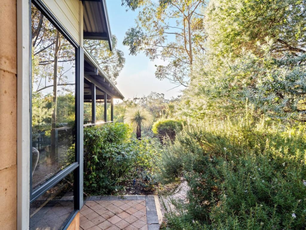 Patio and Garden