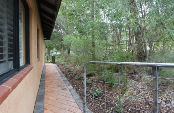 Patio and Garden