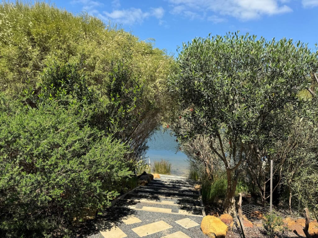 Backyard steps to the river