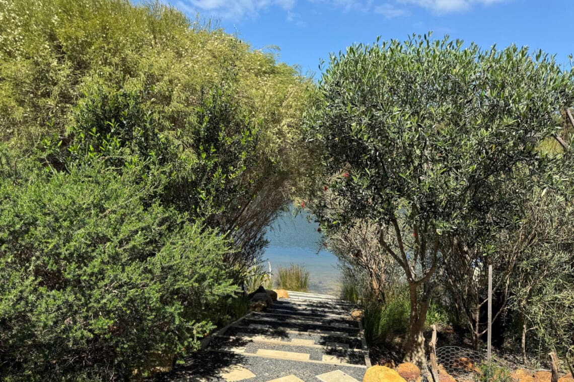 Backyard steps to the river