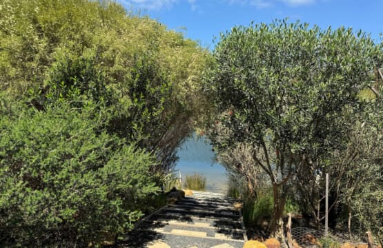 Backyard steps to the river
