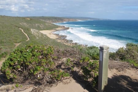 Ocean view