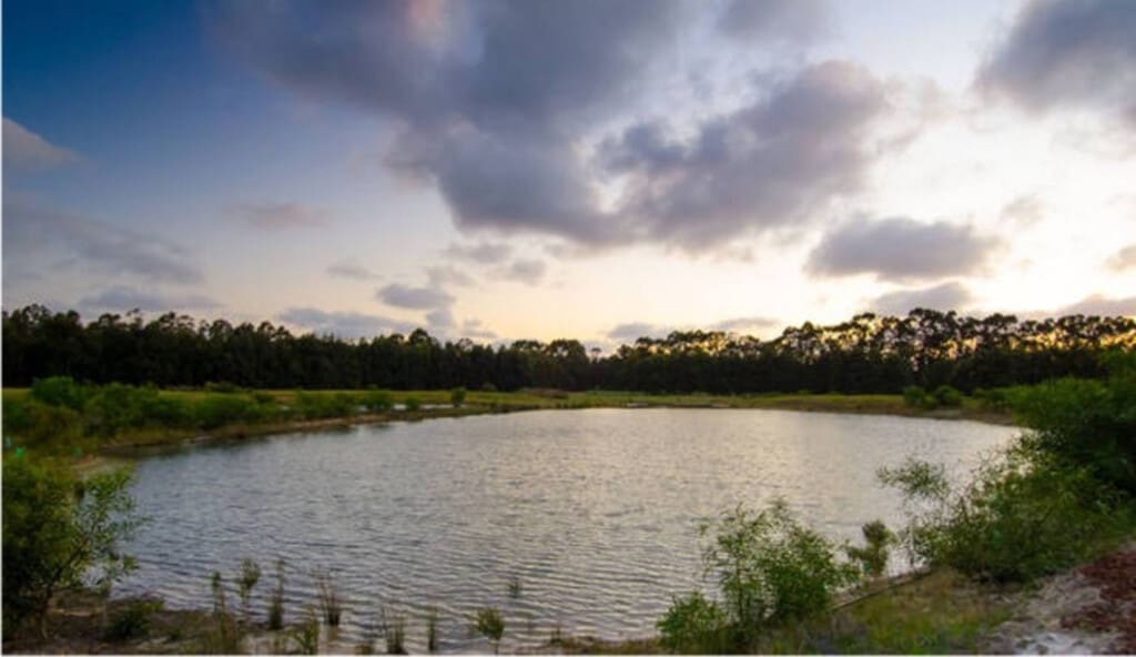 Freshwater dam