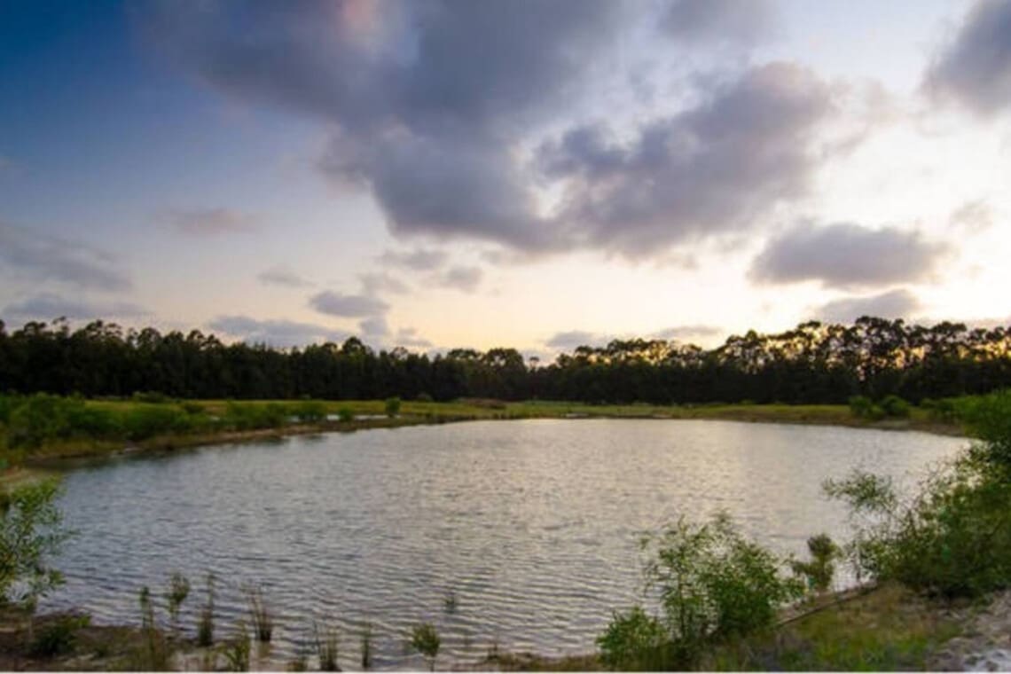 Freshwater dam