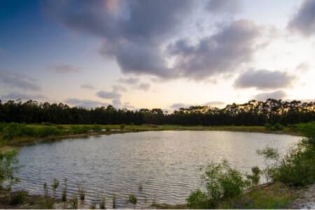Freshwater dam