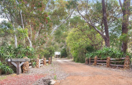 Property Entrance Garden