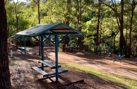 Bramley Forest Picnic Area