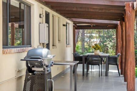 Patio, Dining Table & BBQ Grill (gas)