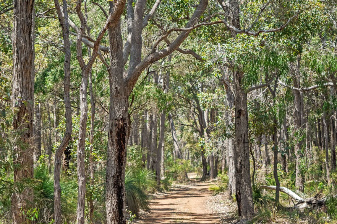 Whisperwood_Driveway