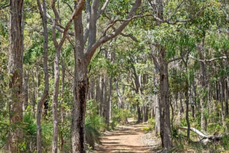 Whisperwood_Driveway