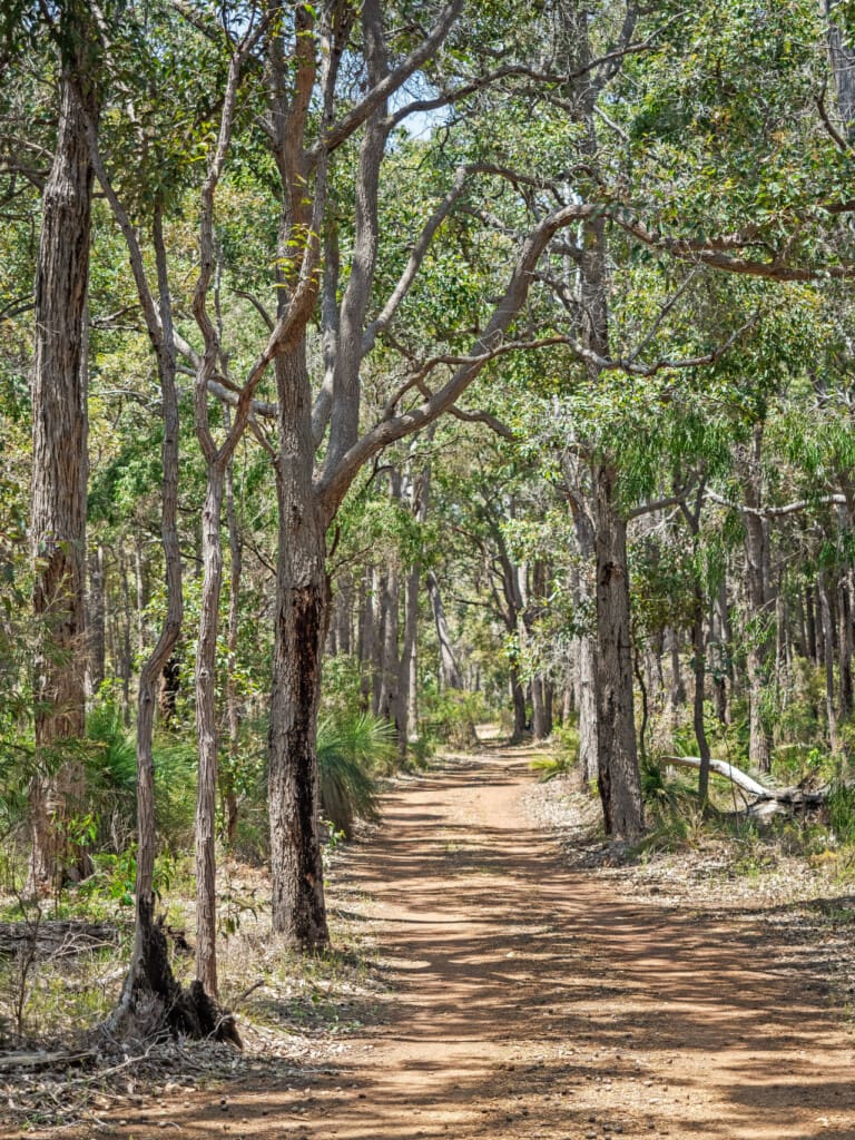 Whisperwood_Driveway