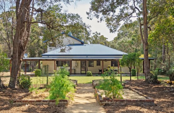 Back Garden with Vegetable Patch